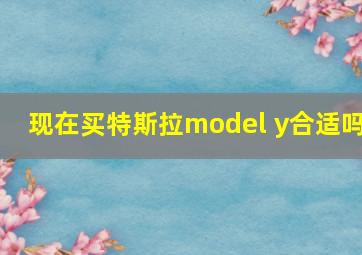 现在买特斯拉model y合适吗